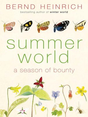 cover image of Summer World